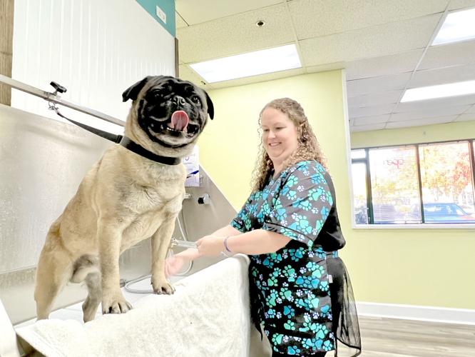 Where the pretty pets go New grooming facility opens in Yuba City