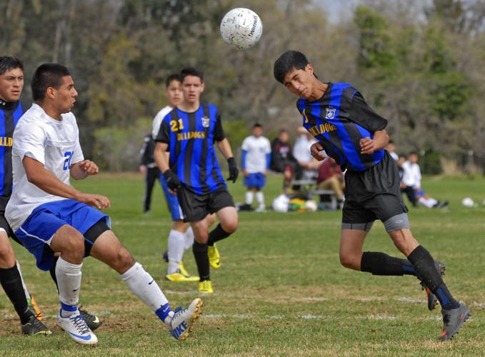 Orland soccer blanks Gridley in Northern Section Division II