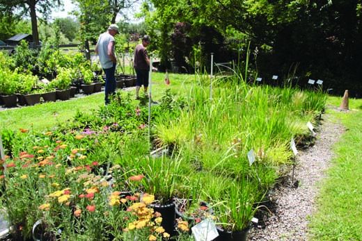 Garden Nursery in Yuba City, CA