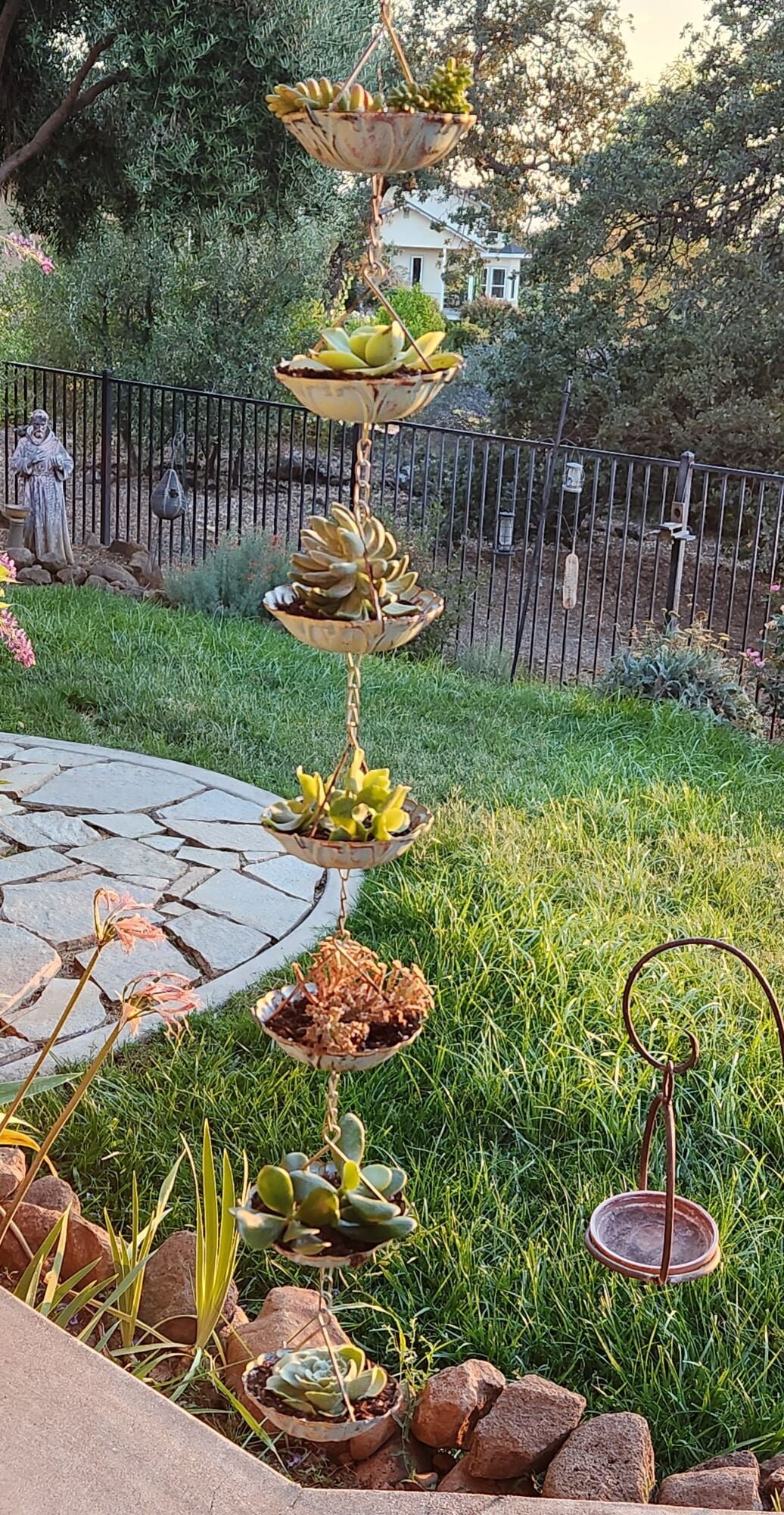 Every Blooming Thing: Just for Fun - Imaginative Planters | Colusa Sun ...