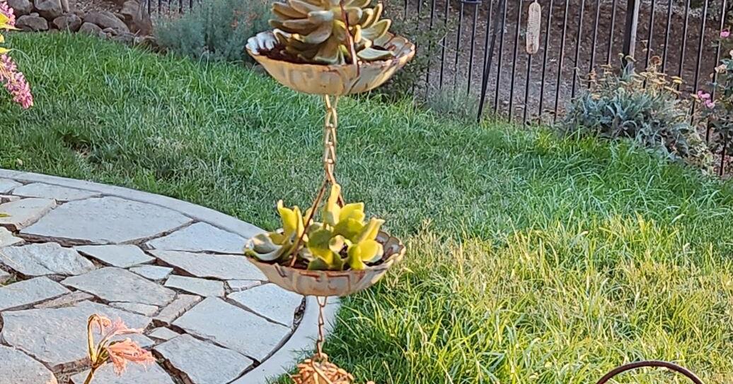 Every Blooming Thing: Just for Fun - Imaginative Planters | Colusa Sun ...