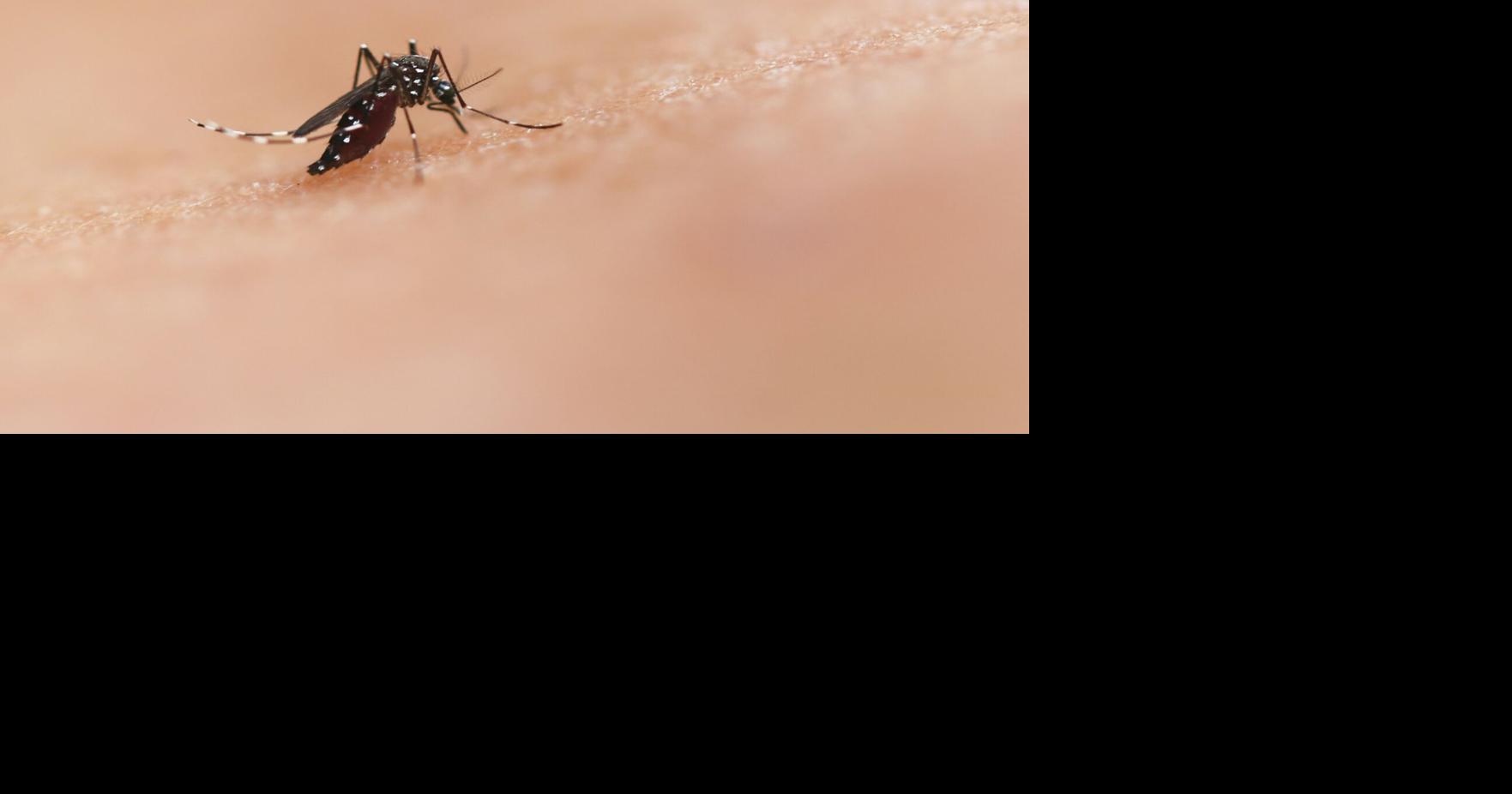Mosquito traps at Roswell parks test positive for West Nile