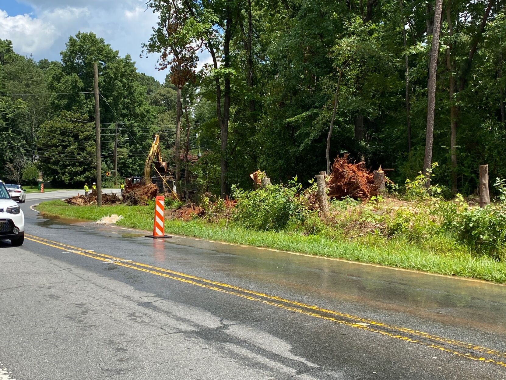 Lost trees part of Dunwoody plan to improve streetscape - Vimarsana News