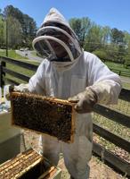 Opinion: The fascinating history of honey and honey bees