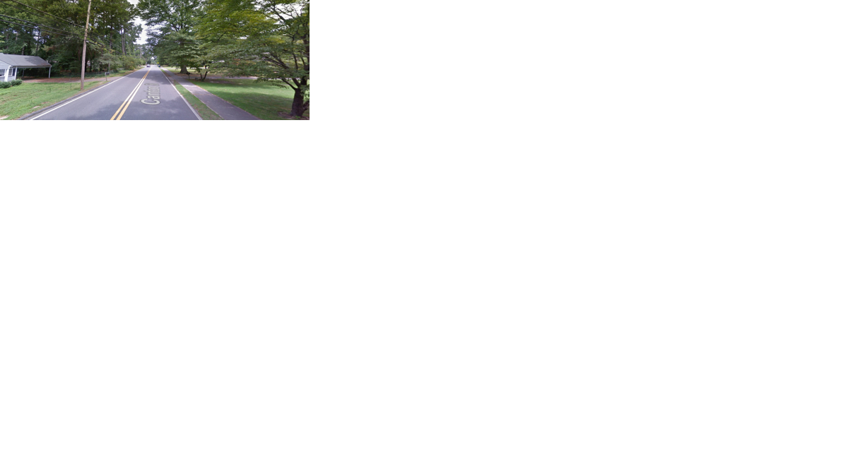 Alpharetta planners want to prune pine trees of specimen status - Vimarsana News