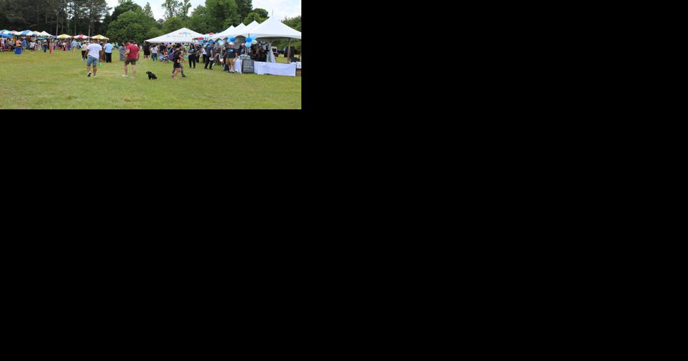 International Festival returns for Johns Creek spring - Vimarsana News