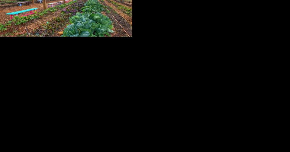 Alpharetta partners with Food Well Alliance to promote local agriculture - Vimarsana News