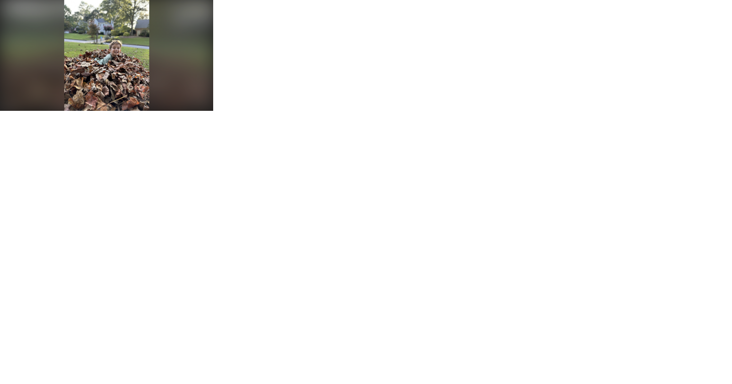 Opinion: Putting your garden to bed for the winter