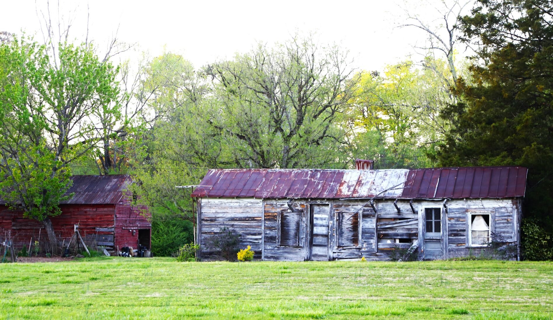 Opinion: The Medlock family is six generations strong | Opinion ...