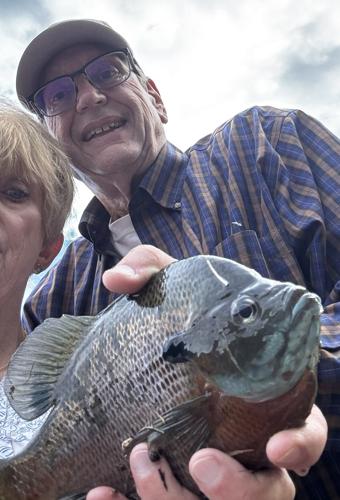 13 fishing origin c casting reel F1 Baitcast Action:Fast - 743SF fishing_combo Bait and tackle storage Fortified by a lightweight