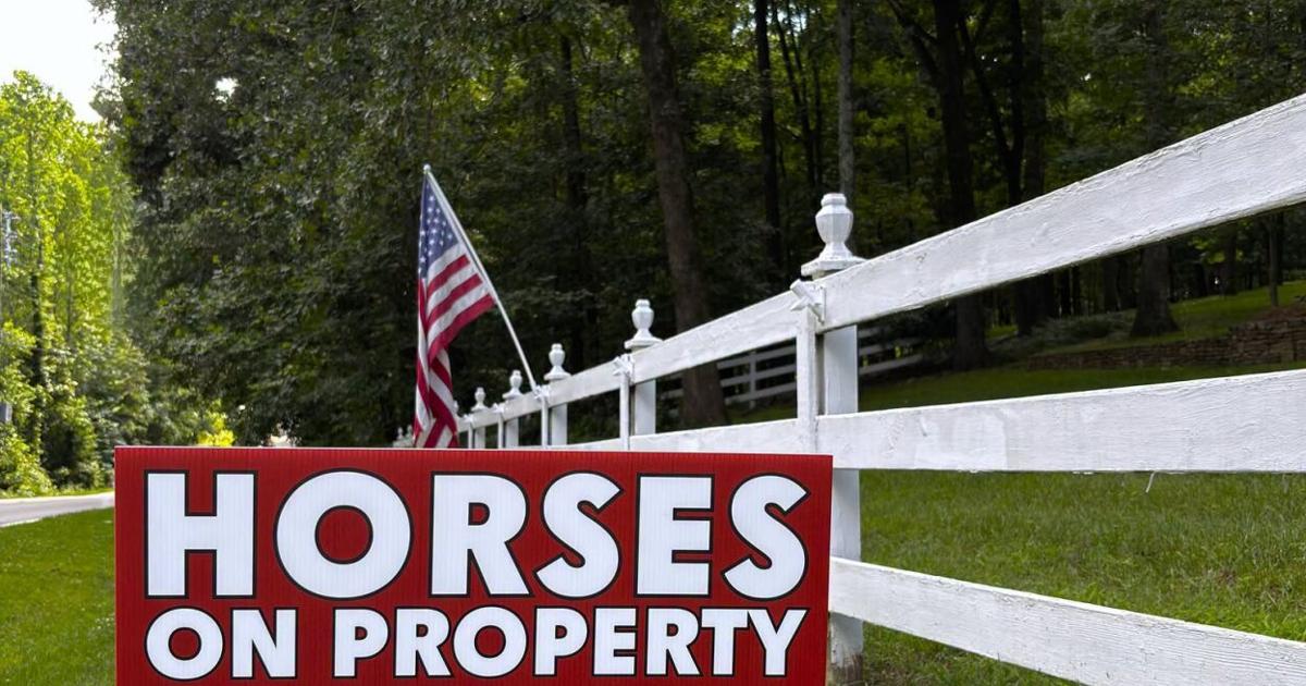 Milton warns public about shooting fireworks near horses