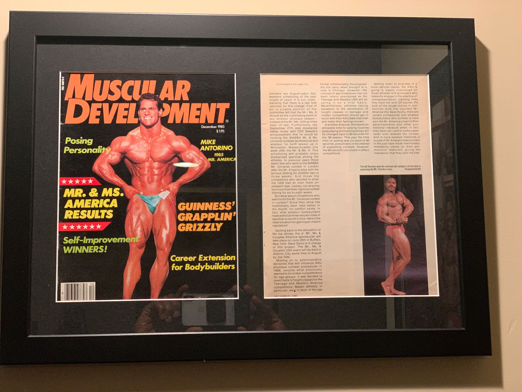 Muscular development online