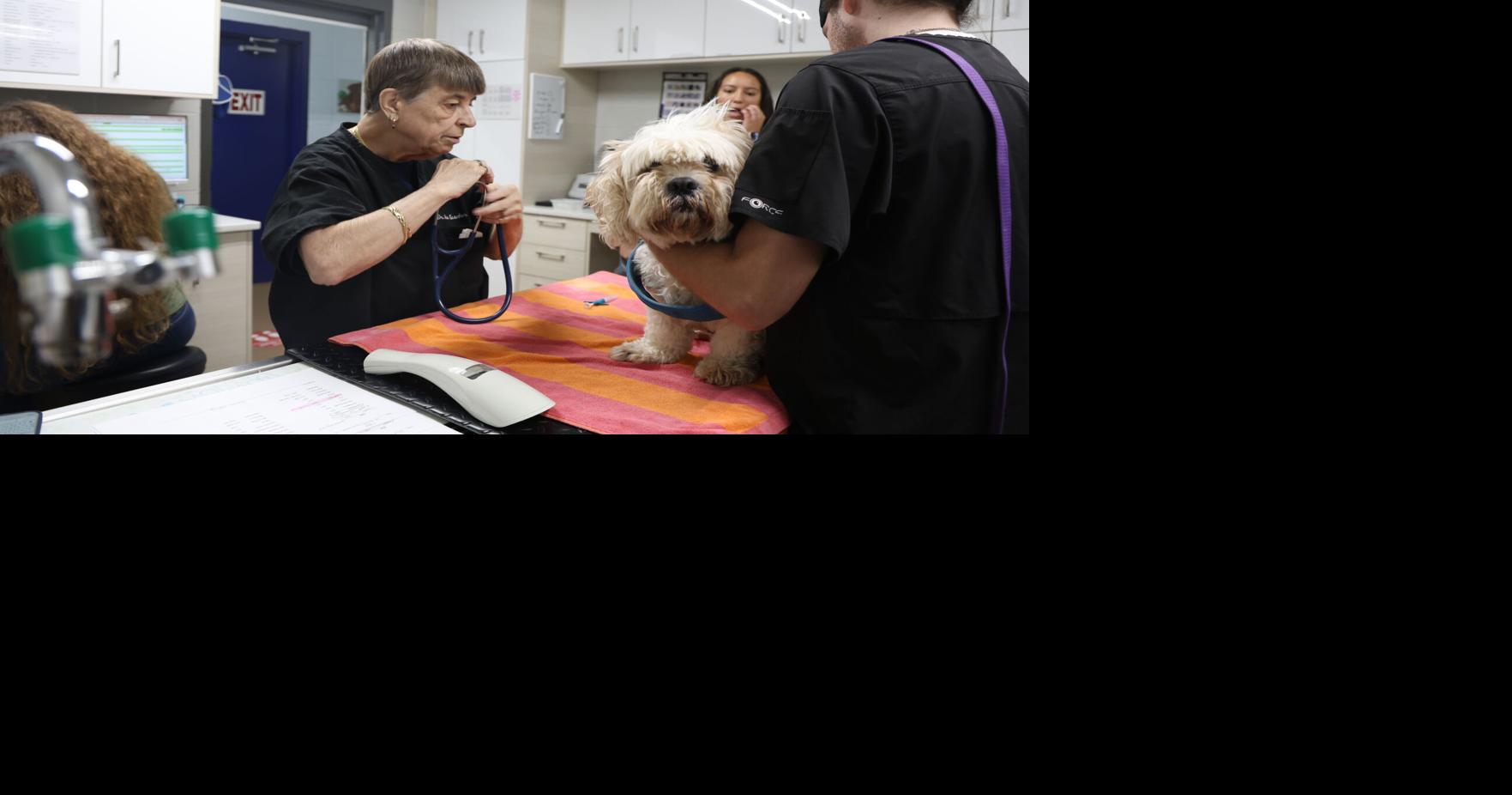 Humane society clinic eases vet costs for Forsyth pets