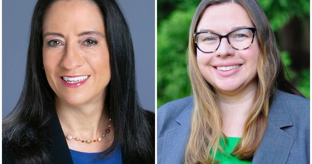 Mental health, environmental advocate challenges Sandy Springs District 3 council incumbent | Sandy Springs News Mental health, environmental advocate challenges Sandy Springs District 3 council incumbent | Sandy Springs News
