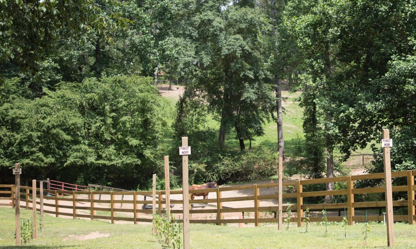 Milton residents review winery permits, proposed subdivision Milton