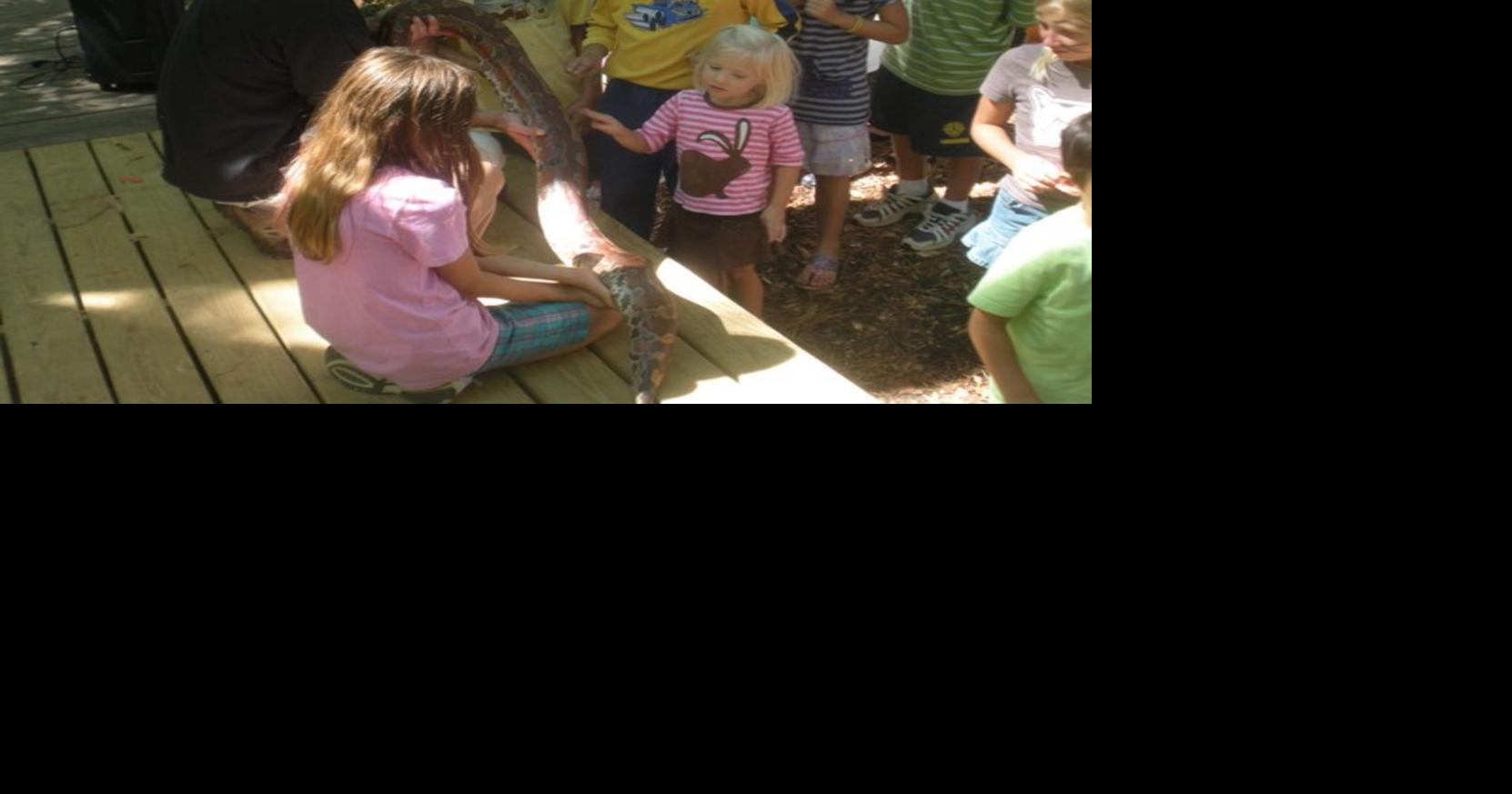 Autrey Mill festival features reptile show, petting zoo Archives