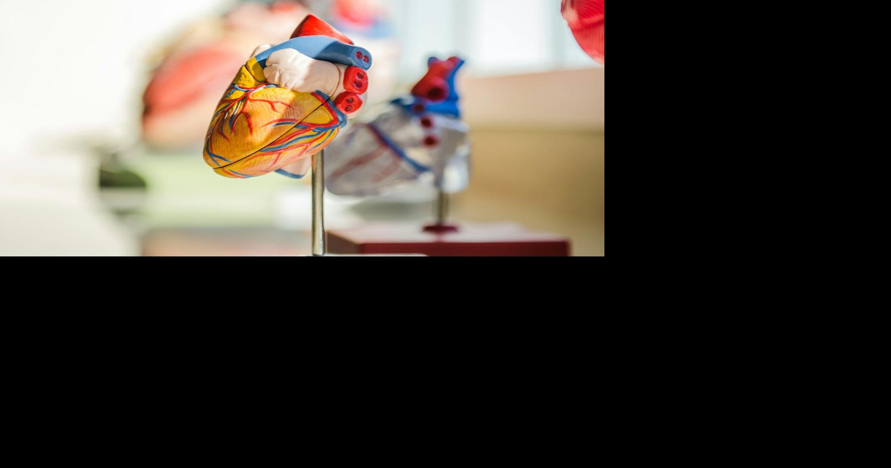 What organ donors and families should know right now