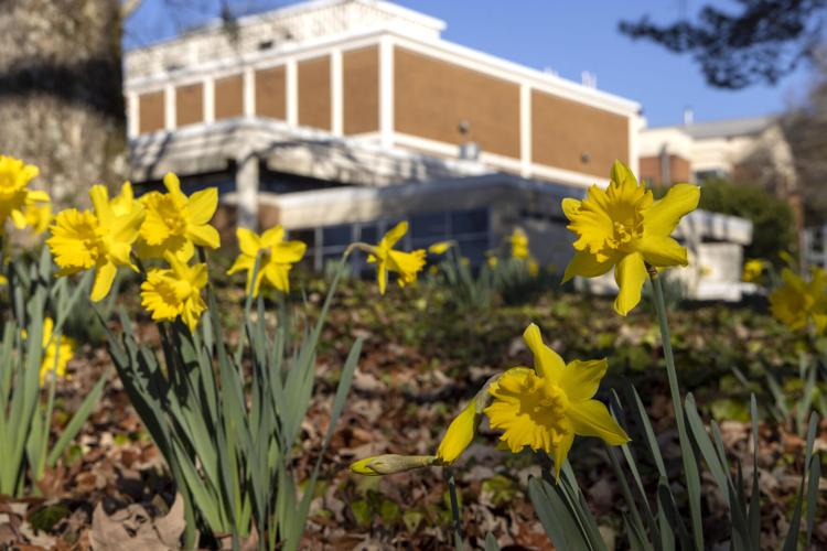 North Fulton Master Gardeners