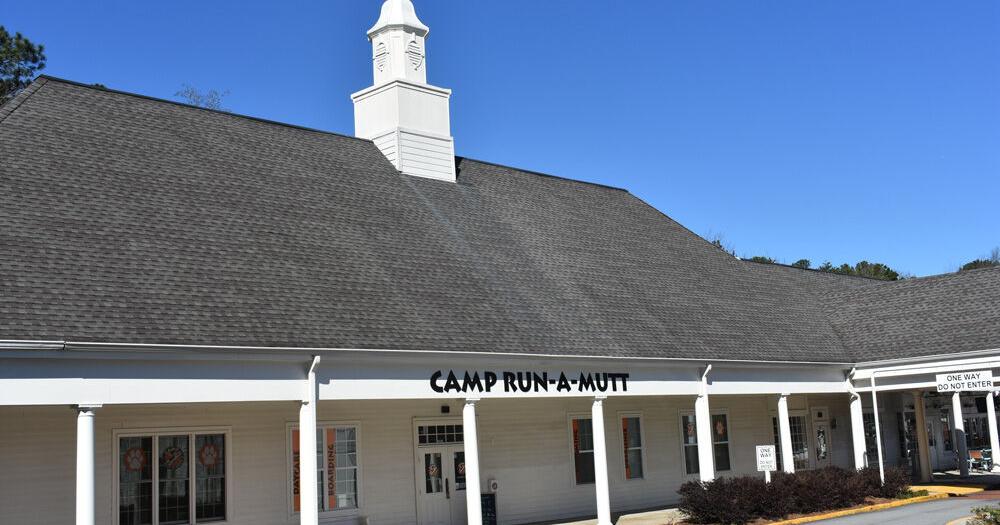 Camp Run A Mutt Dunwoody