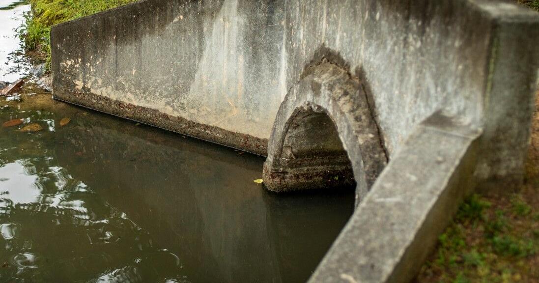 Johns Creek programs could help property owners manage stormwater