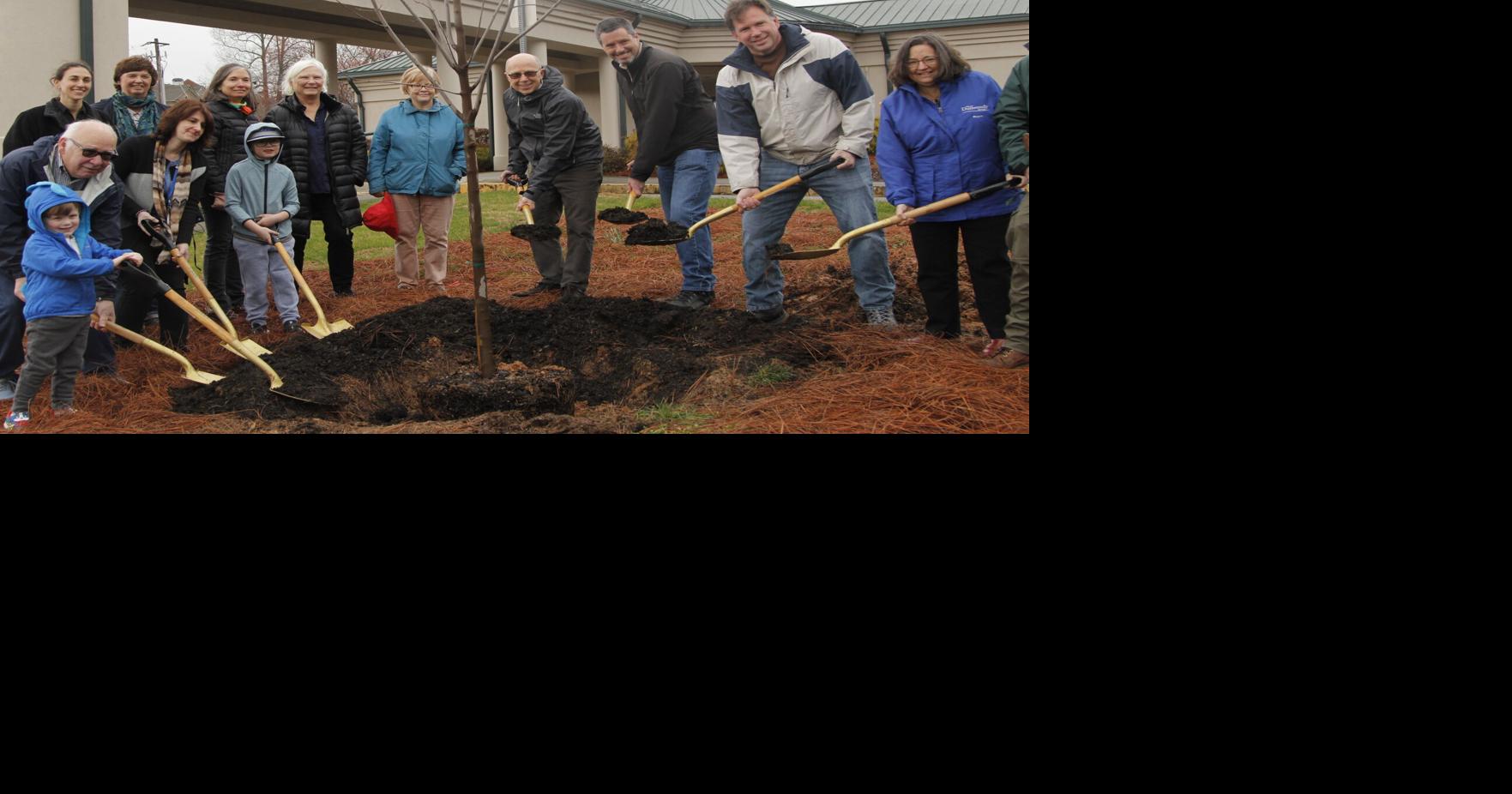 Dunwoody marks 11th “Tree City” designation | Dunwoody News ...