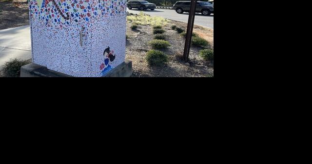 Dunwoody displays Green Light Art, Brook Run Park sculpture - Vimarsana News