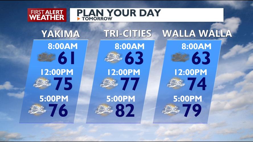 Calm Night Ahead with Clear Skies and Mild Temperatures in Store | News ...
