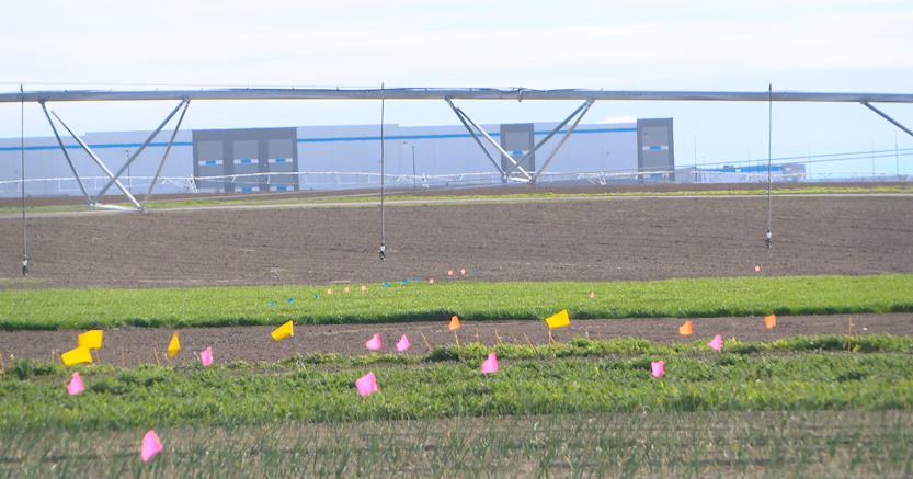 Fields of Grace tackles food waste and hunger across Columbia Basin