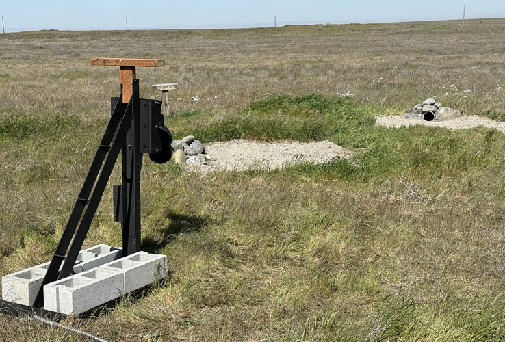 CTUIR partners with owl researchers to install livestream camera for ...