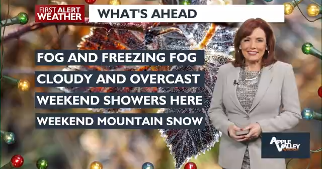 Quiet Weather Dominates: Fog and Breezy Winds Forecasted in the ...