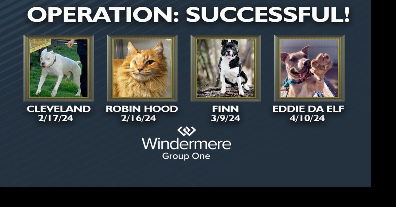 Operation Best Friend: Success! FOUR featured pets have been adopted ...
