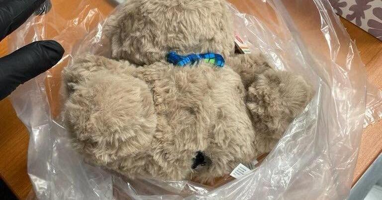 Pasco police working to identify woman accused of attempting to use teddy bear to smuggle drugs