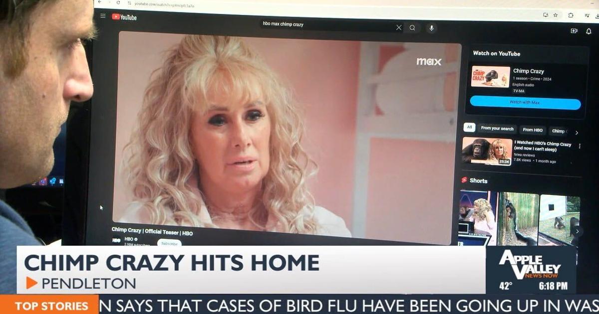 EXCLUSIVE INVESTIGATION: Chimp Crazy on HBO Max hits close to home ...