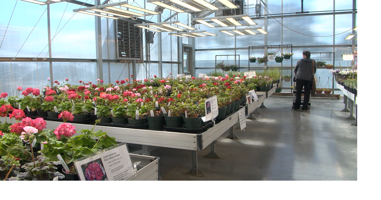 CBC students sell plants to fund agriculture education programs