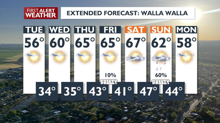 Freeze Warnings Issued for Foothills & Valleys - Brace for Chilly ...