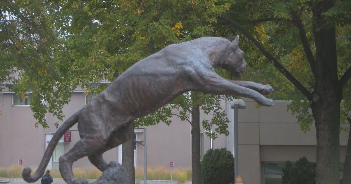 WSU Tri-Cities Cougar Tracks expands AI training with new seven-part professional development series | News WSU Tri-Cities Cougar Tracks expands AI training with new seven-part professional development series | News