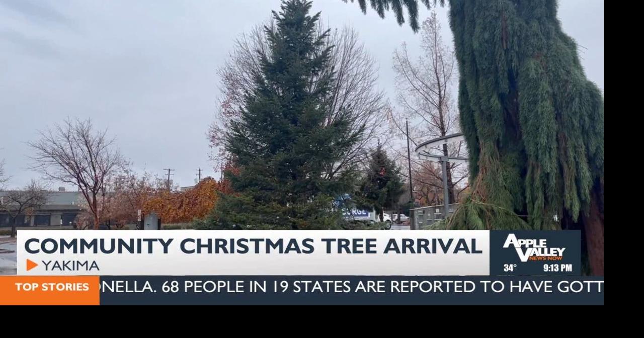 Apple Valley News Now Primetime - November 29, 2024 | Video | applevalleynewsnow.com