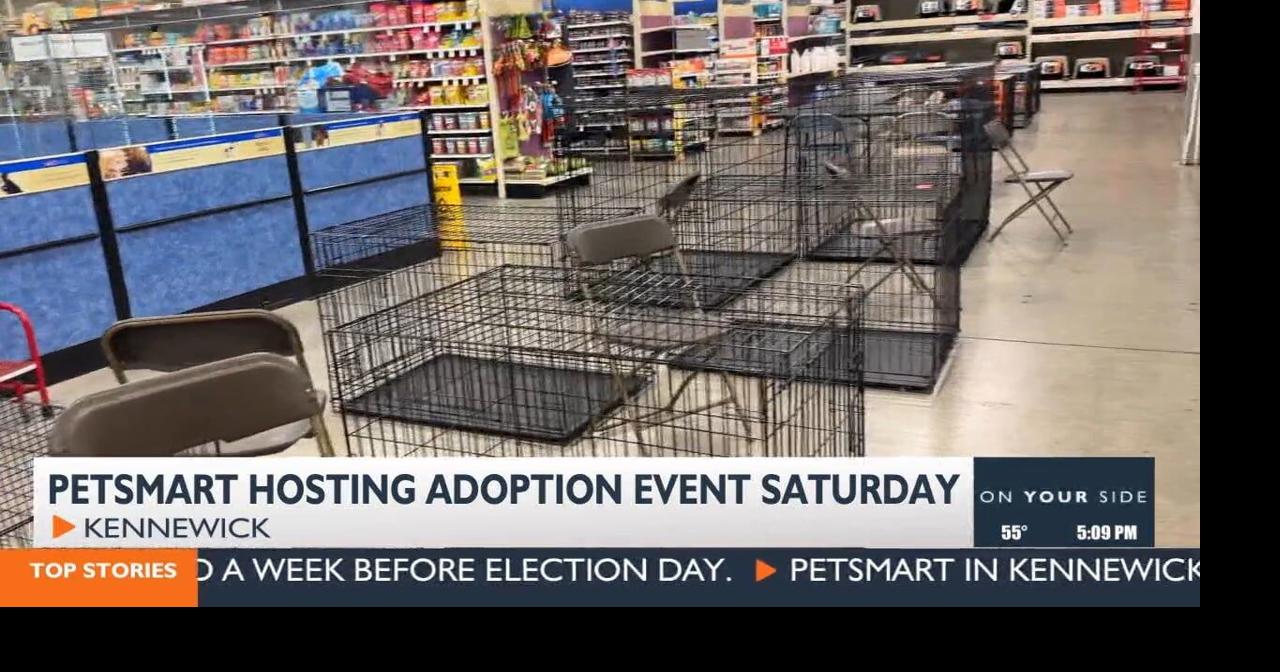 Rescues and Shelters unite at PetSmart for adoption event | News ...