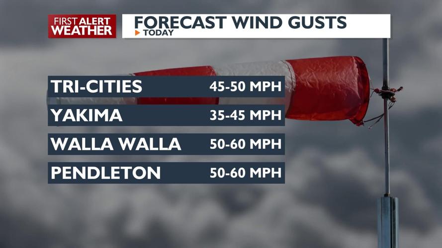 PREPARE NOW: High winds pose threat of damage & power outages tonight ...