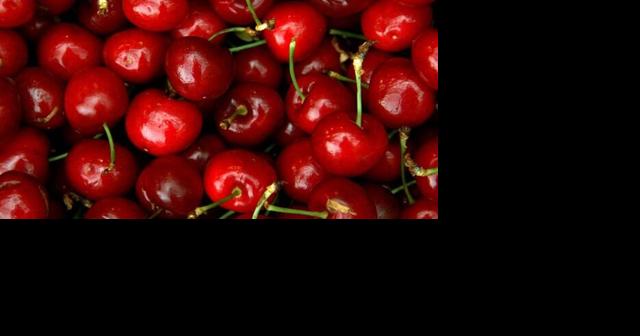 Washington state's cherry harvest up by 50% after hitting 14-year low in 2022 - Vimarsana News
