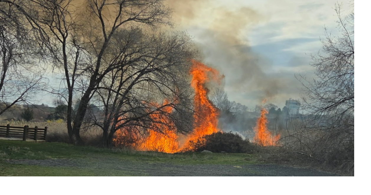 Moses Lake firefighters battle blaze at Vehrs Wetland Park | News ...