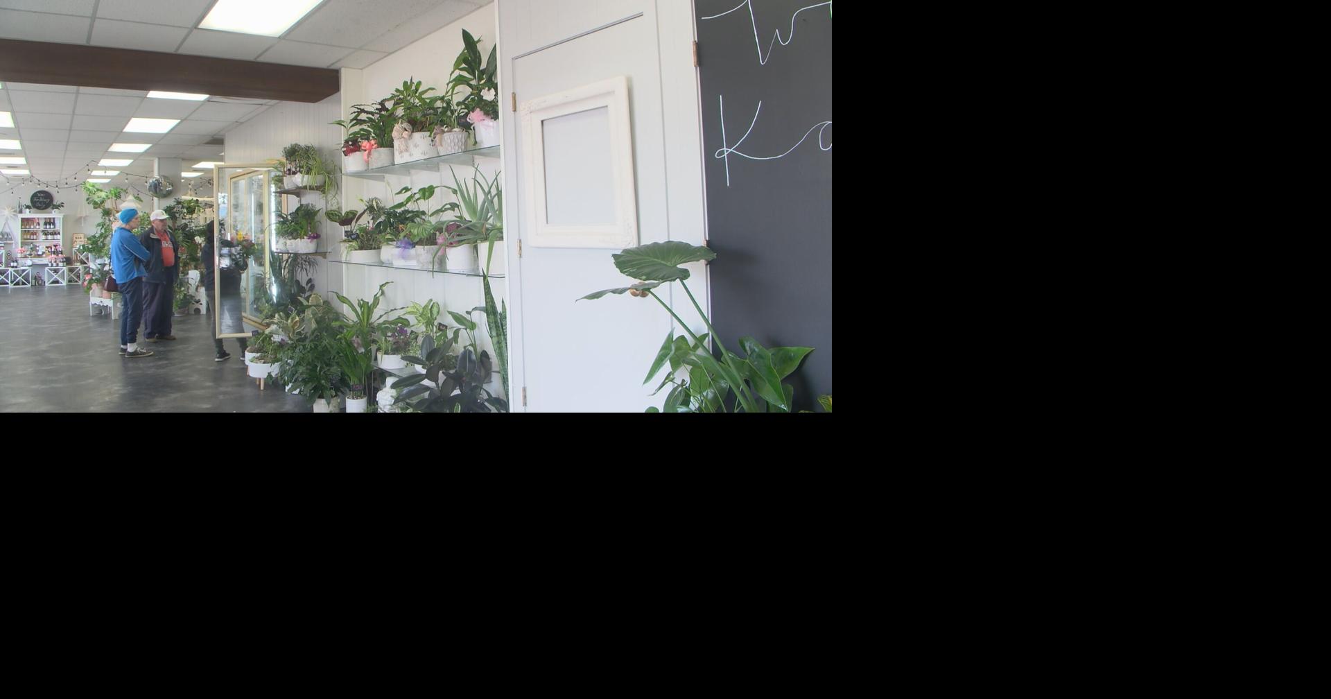 Yakima plant shop shares houseplant care tips after 99 years in