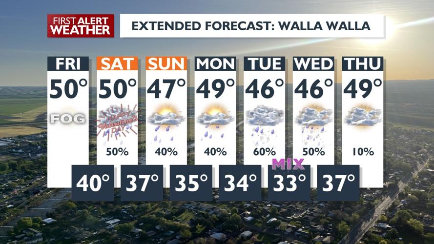 Patchy Dense Fog Expected Overnight, Foggy Morning Commutes Possible ...