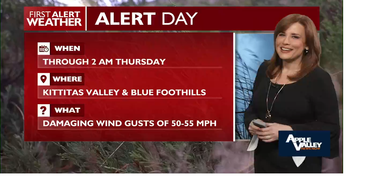 69e95599574d5.preview.png?crop=1280,672,