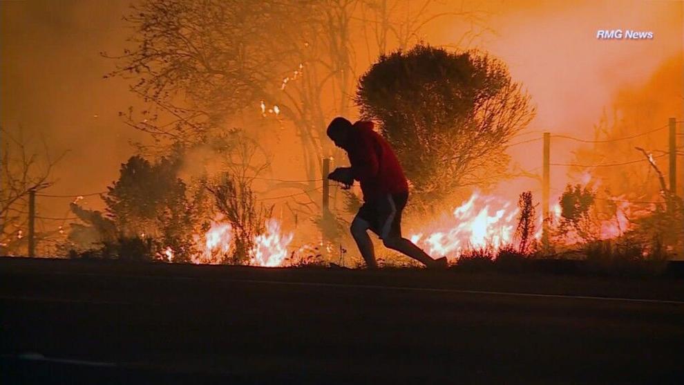 Nevada Rabbits Man braves wildfires to save rabbit | National News ...
