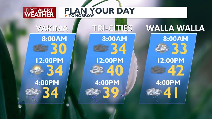 Rain and Snow Mix Expected in Cascades and Lower Elevations This ...