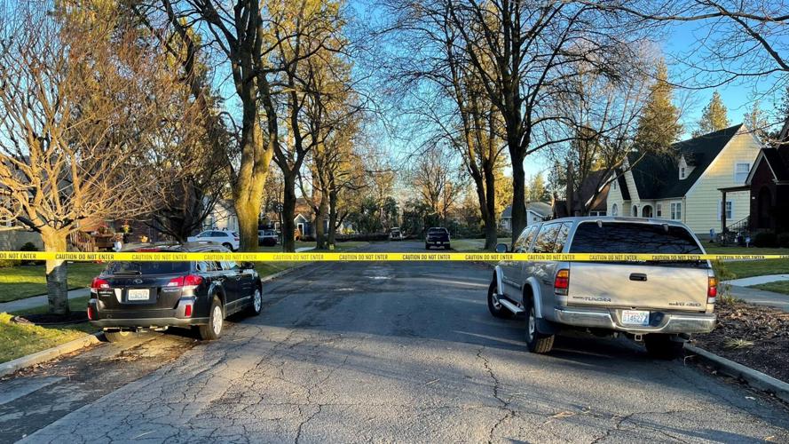 Spokane woman dies after tree falls on car during windstorm | Northwest ...
