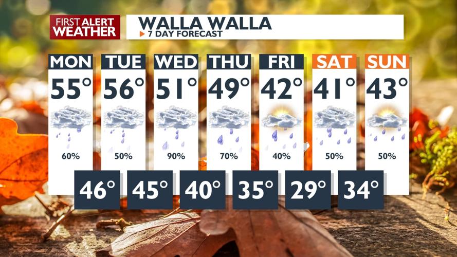 First Alert Weather - Patchy fog for your Monday morning with a warm ...