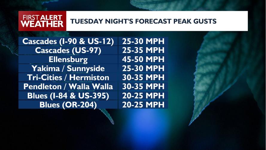 High winds Tuesday night - Wednesday night; snowy Blue passes Wednesday ...