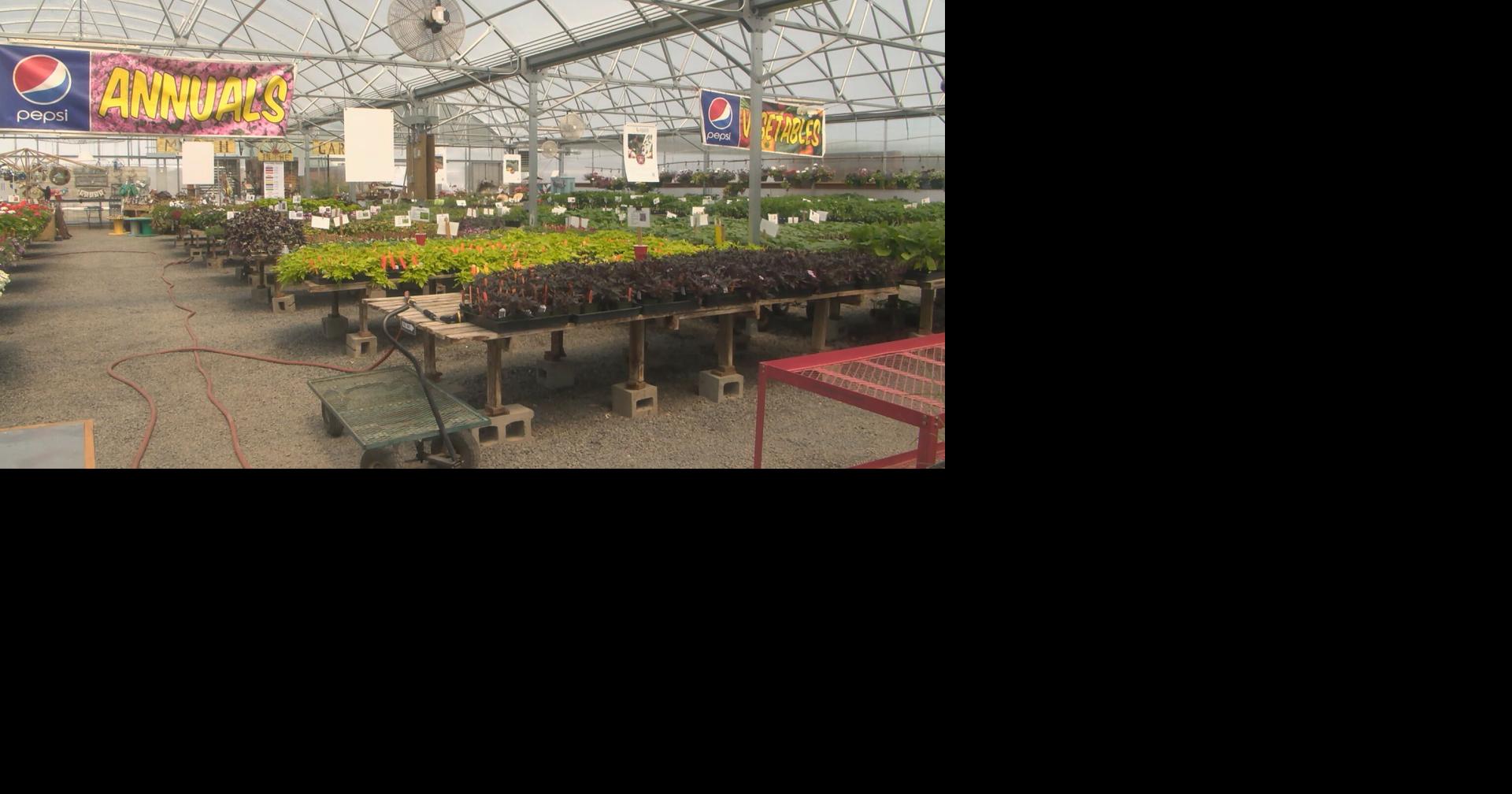 Yakima Master Gardeners annual plant sale happening this weekend News